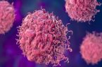 وضعیت شیوع یک سرطان زنانه در ایران/احتمال ورود واکسن HPV به برنامه واکسیناسیون ملی