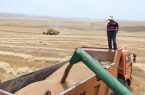 آذربایجان‌شرقی در جهش تولید دیمزارها رتبه دوم کشور را دارد