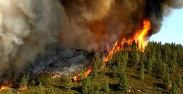 وقوع ۶۰ مورد آتش‌سوزی در جنگل‌ها و مراتع آذربایجان‌شرقی