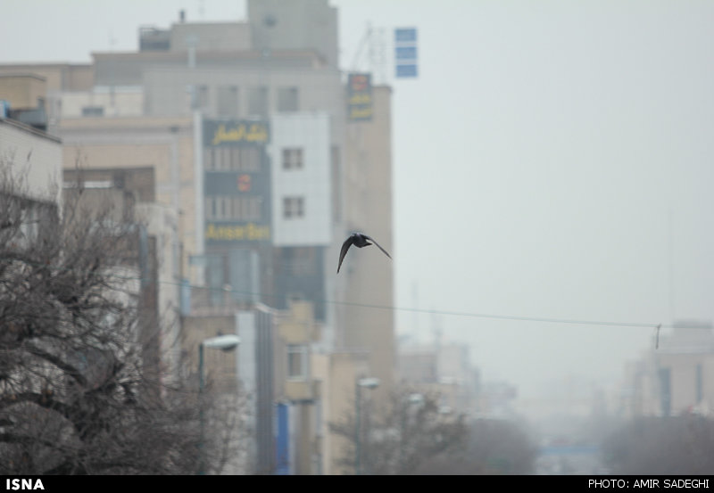 کاهش دما و مازوت نیروگاه، عامل اصلی آلودگی هوای کلانشهر تبریز است