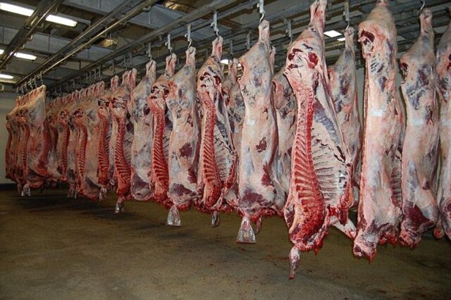 گوشت در فروشگاه‌های کشتارگاه تبریز به قیمت مناست عرضه می‌شود