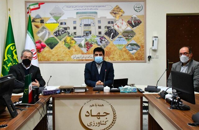 افزایش ذخایر استراتژیک مرغ منجمد به عنوان راهکاری جهت جبران کاهش تولید