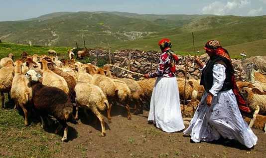 کوچ زودهنگام عشایر منطقه ارسباران به قشلاق باعث تخریب سریع مراتع می‌شود