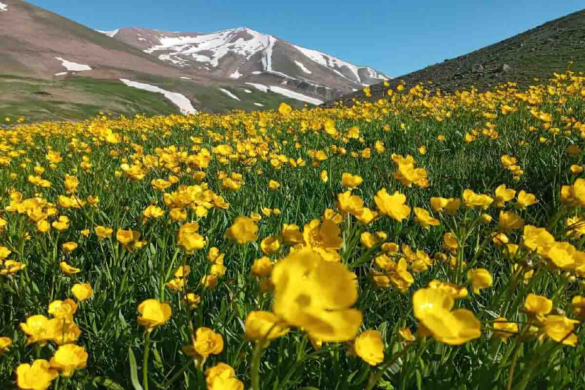 ثبت ژئوپارک سهند افق توسعه گردشگری در مراغه