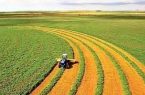 رئیس جهاد کشاورزی آذربایجان‌شرقی: اصلاح الگوی کشت در بخش زراعت استان کلید خورد
