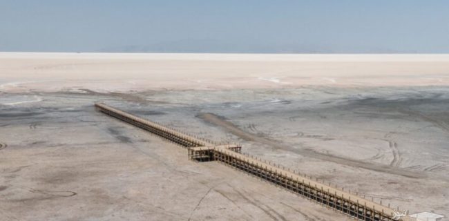 تصویری تراژیک از مرگ حیات وحش در دریاچه ارومیه/ عکس