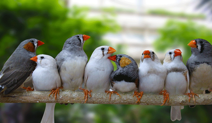 راهکار ساده برای بهبود افسردگی