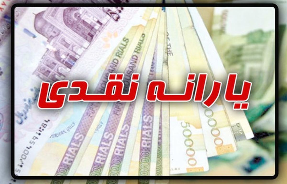 چرا حذف یارانه نقدی به تاخیر افتاد؟/ پاسخ وزیر اقتصاد درباره زمان اجرای طرح کالابرگ