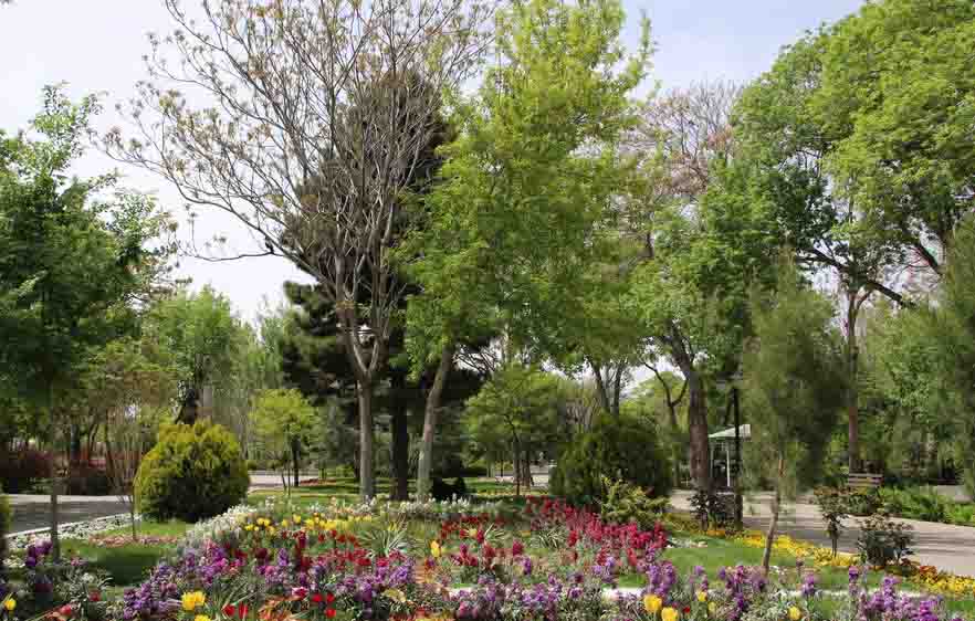 برنامه‌ریزی توسعه ۴۰۰ هکتاری فضای سبز در سال آینده
