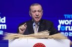 حمله اردوغان به بورل: حق نظر دادن نداری