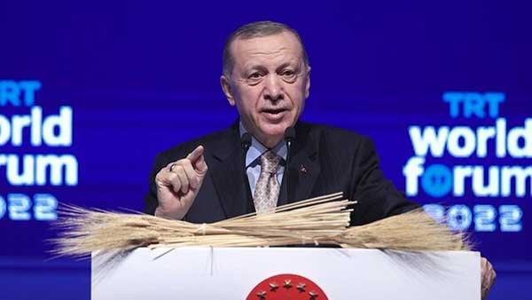 حمله اردوغان به بورل: حق نظر دادن نداری