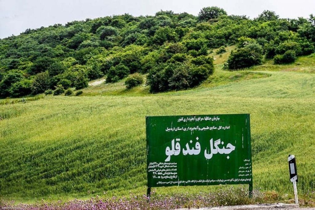 تعیین مالکیت پارک جنگلی «فندقلو» برای اجرای طرح‌های گردشگری ضروری است