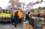 شهردار تبریز: مکان مشخصی برای وانت بارهای میوه فروش در نظر گرفته شده است