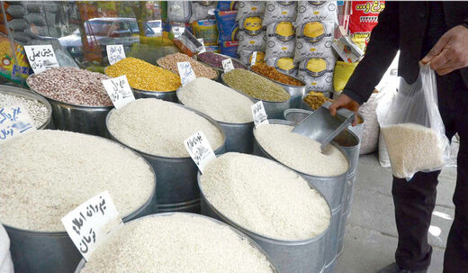 قیمت انواع برنج ایرانی و خارجی در بازار / هر کیلو برنج هاشمی و طارم چند؟