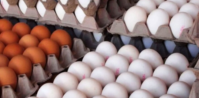 کاهش قیمت تخم مرغ به زیر نرخ مصوب / قیمت هرشانه تخم مرغ چند؟