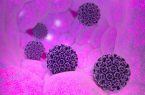 آنچه باید در مورد ویروس اچ‌ پی وی بدانیم