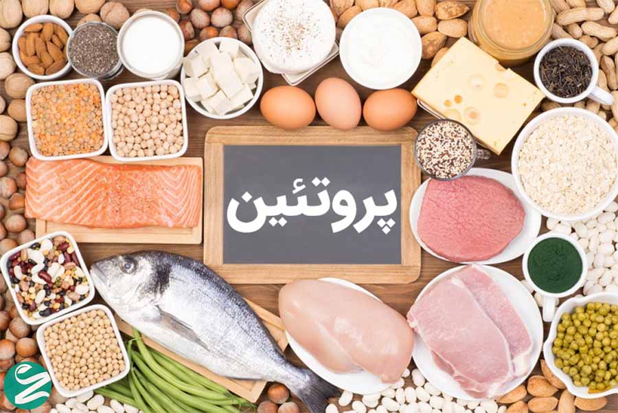 میزان پروتئین مصرفی راز زندگی سالم و طول عمر