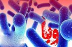 چند نکته برای پیشگیری از ابتلا به وبا در فصل گرما