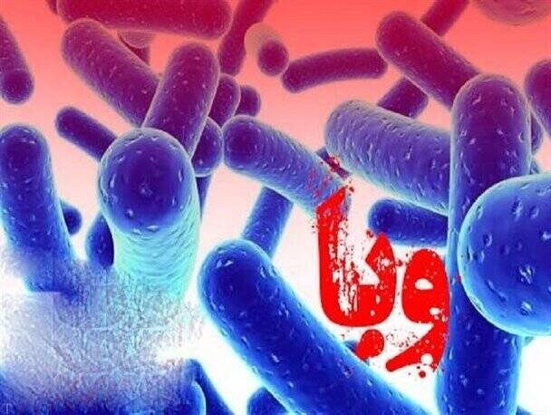چند نکته برای پیشگیری از ابتلا به وبا در فصل گرما
