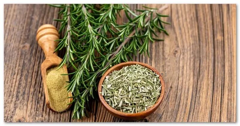 گیاه معطری که شما را باهوش‌تر می‌کند