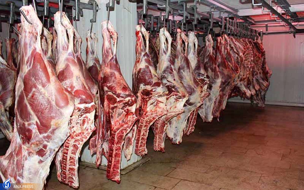 قیمت گوسفند کیلویی ۱۹۰ هزار تومان / پیمان‌پاک: قیمت گوشت از این هم پایین‌تر می‌آید