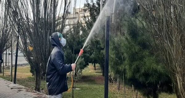عملیات سمپاشی زمستانه درختان در سطح تبریز آغاز شد