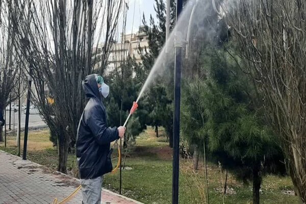 عملیات سمپاشی زمستانه درختان در سطح تبریز آغاز شد