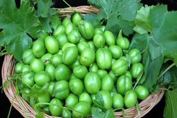 خواص شگفت‌انگیز این میوه نوبرانه و گران بهاری