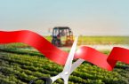 ۶۰ طرح کشاورزی در آذربایجان شرقی آماده بهره برداری است