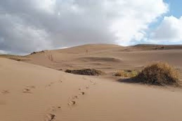 نباید اجازه دهیم از کویر آذربایجان برداشت شود/پیگیر لغو مجوز صمت خواهم بود