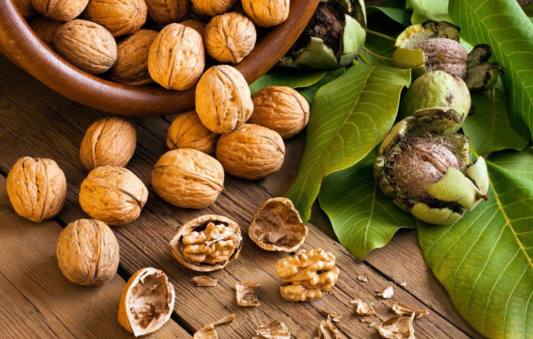 آذربایجان شرقی رتبه دوم تولید گردو در کشور
