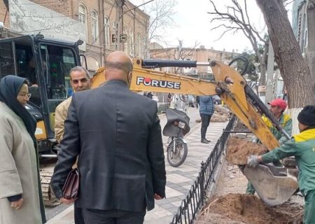 ایجاد بستر فضای سبز ۵۰۰ متر مربعی در پروژه سنگفرش تربیت غربی