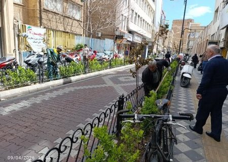 ساماندهی و بازپیرایی فضای سبز پیاده راه ارک