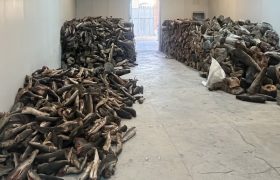 کشف ۲۶ تن گوشت کوسه ماهی در تبریز
