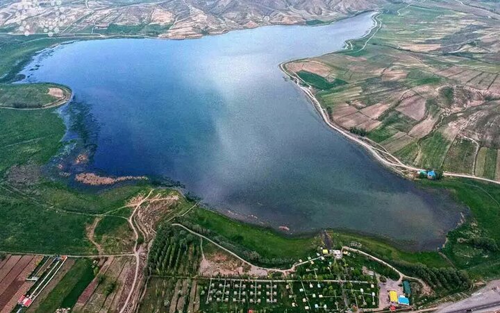 جانی دوباره بر پیکره تالاب قوریگل