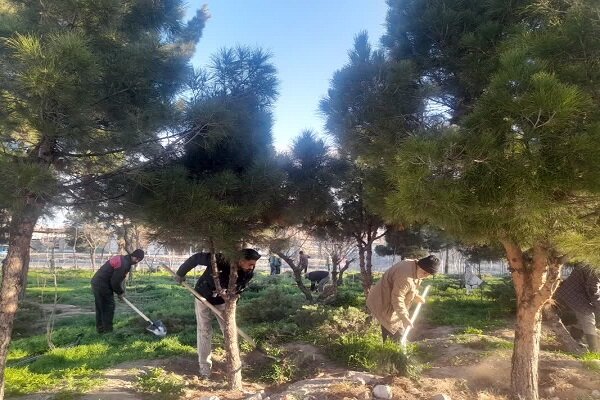 تداوم فعالیت های فضای سبز مناطق دهگانه در اولین ماه از بهار ۱۴۰۵