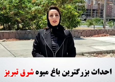 احداث بزرگترین باغ میوه شرق تبریز در مسیر دوکمال